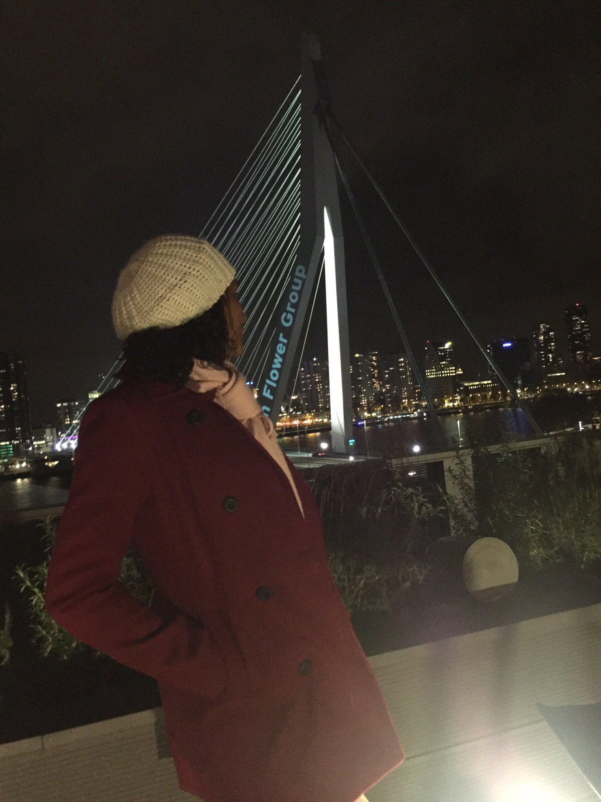 A Ponte Erasmus, Roterdão